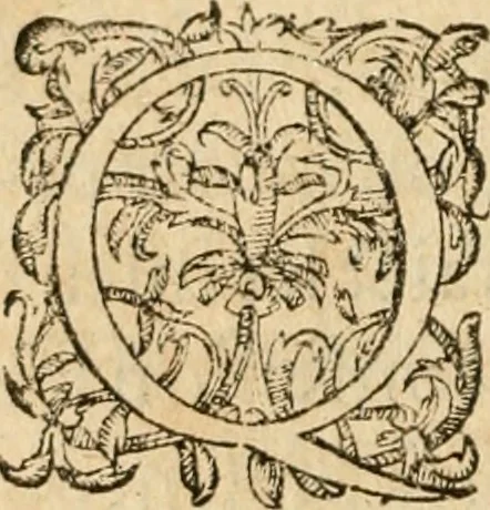 An illustration from De la démonomanie des sorciers .., 1587, leaf 449