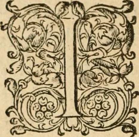 An illustration from De la démonomanie des sorciers .., 1587, leaf 465