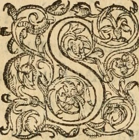 An illustration from De la démonomanie des sorciers .., 1587, leaf 511