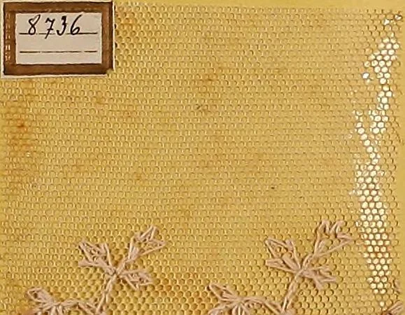 An illustration from Sample book of French embroidery, 1850?, 1850, leaf 123