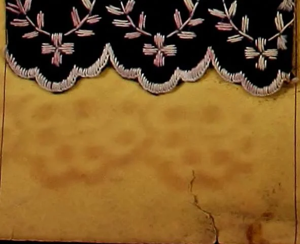 An illustration from Sample book of French embroidery, 1850?, 1850, leaf 25