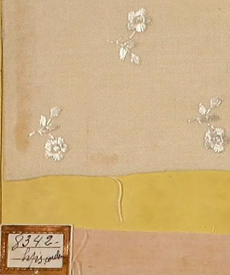 An illustration from Sample book of French embroidery, 1850?, 1850, leaf 69