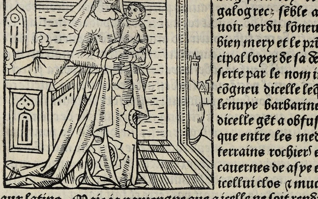An illustration from De la louenge et vertu des nobles et cleres dames : de Jehan bocasse ; [traslate & iprime nouellemet a paris], leaf 200