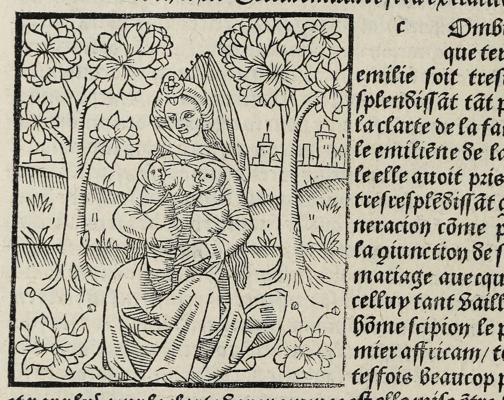 An illustration from De la louenge et vertu des nobles et cleres dames : de Jehan bocasse ; [traslate & iprime nouellemet a paris], leaf 202