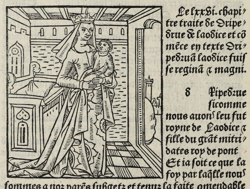 An illustration from De la louenge et vertu des nobles et cleres dames : de Jehan bocasse ; [traslate & iprime nouellemet a paris], leaf 204