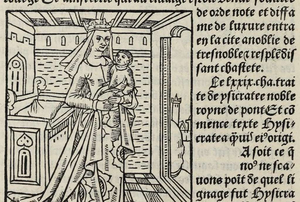 An illustration from De la louenge et vertu des nobles et cleres dames : de Jehan bocasse ; [traslate & iprime nouellemet a paris], leaf 208