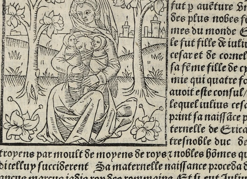 An illustration from De la louenge et vertu des nobles et cleres dames : de Jehan bocasse ; [traslate & iprime nouellemet a paris], leaf 216