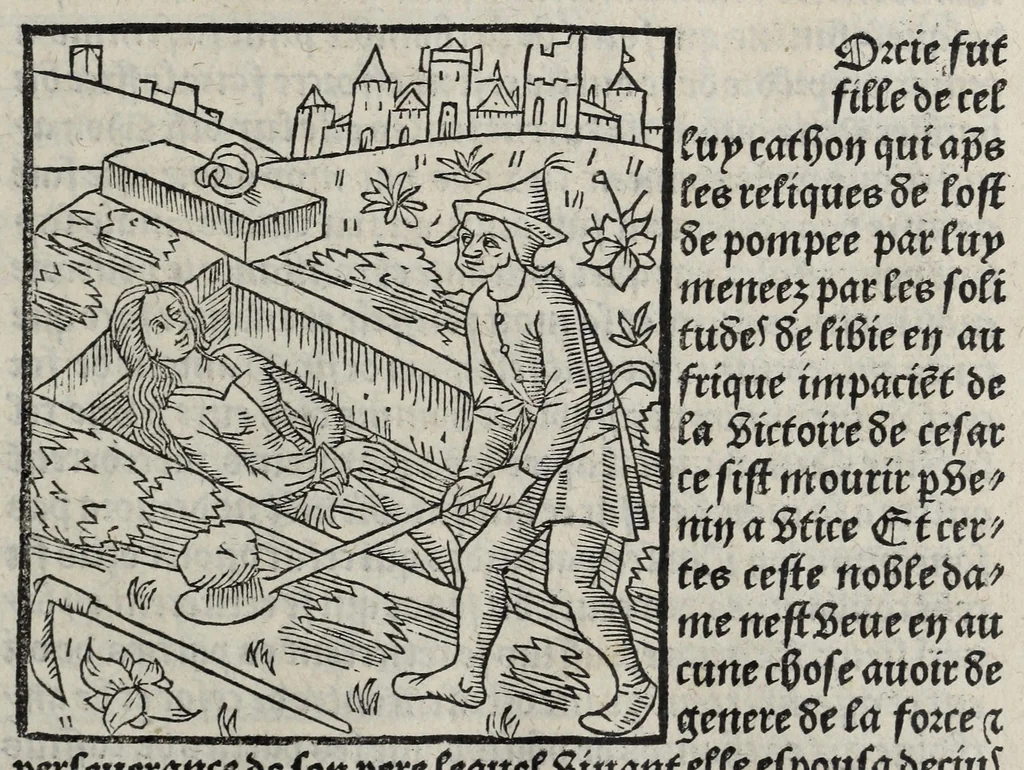 An illustration from De la louenge et vertu des nobles et cleres dames : de Jehan bocasse ; [traslate & iprime nouellemet a paris], leaf 217
