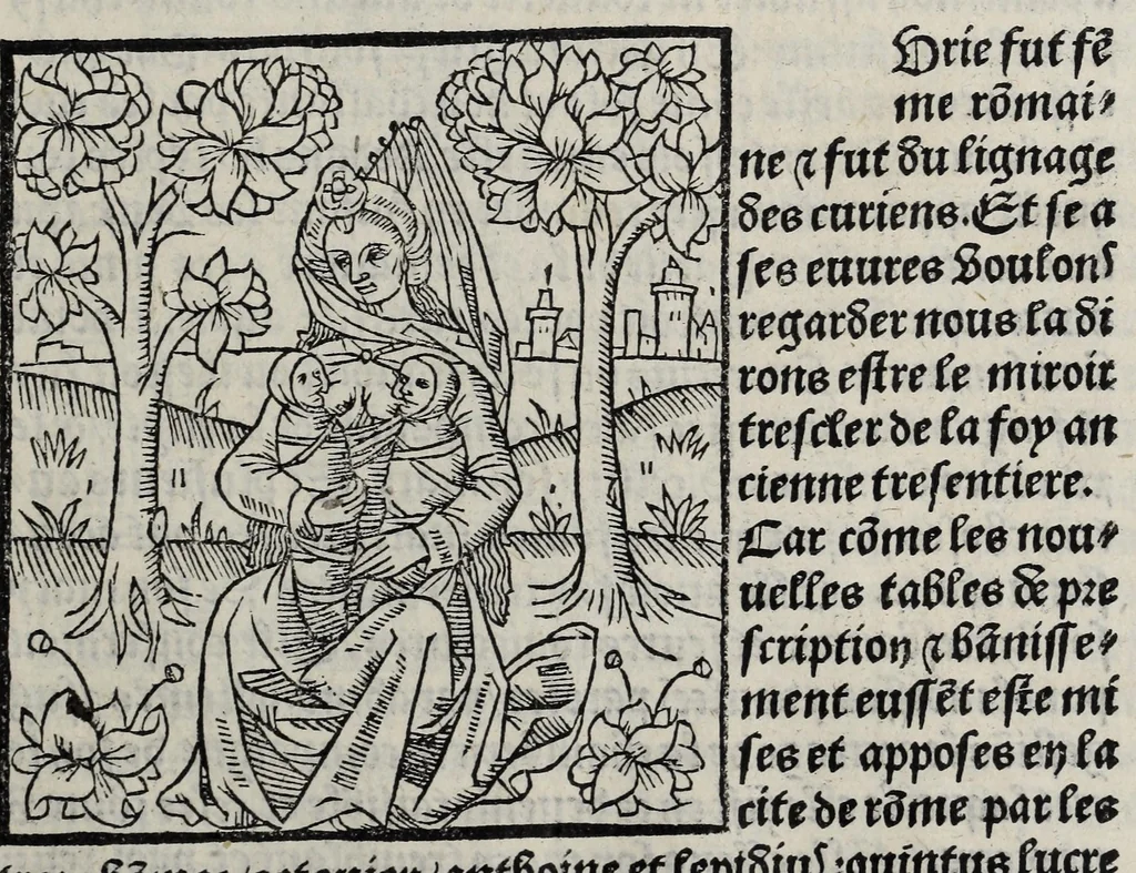 An illustration from De la louenge et vertu des nobles et cleres dames : de Jehan bocasse ; [traslate & iprime nouellemet a paris], leaf 219