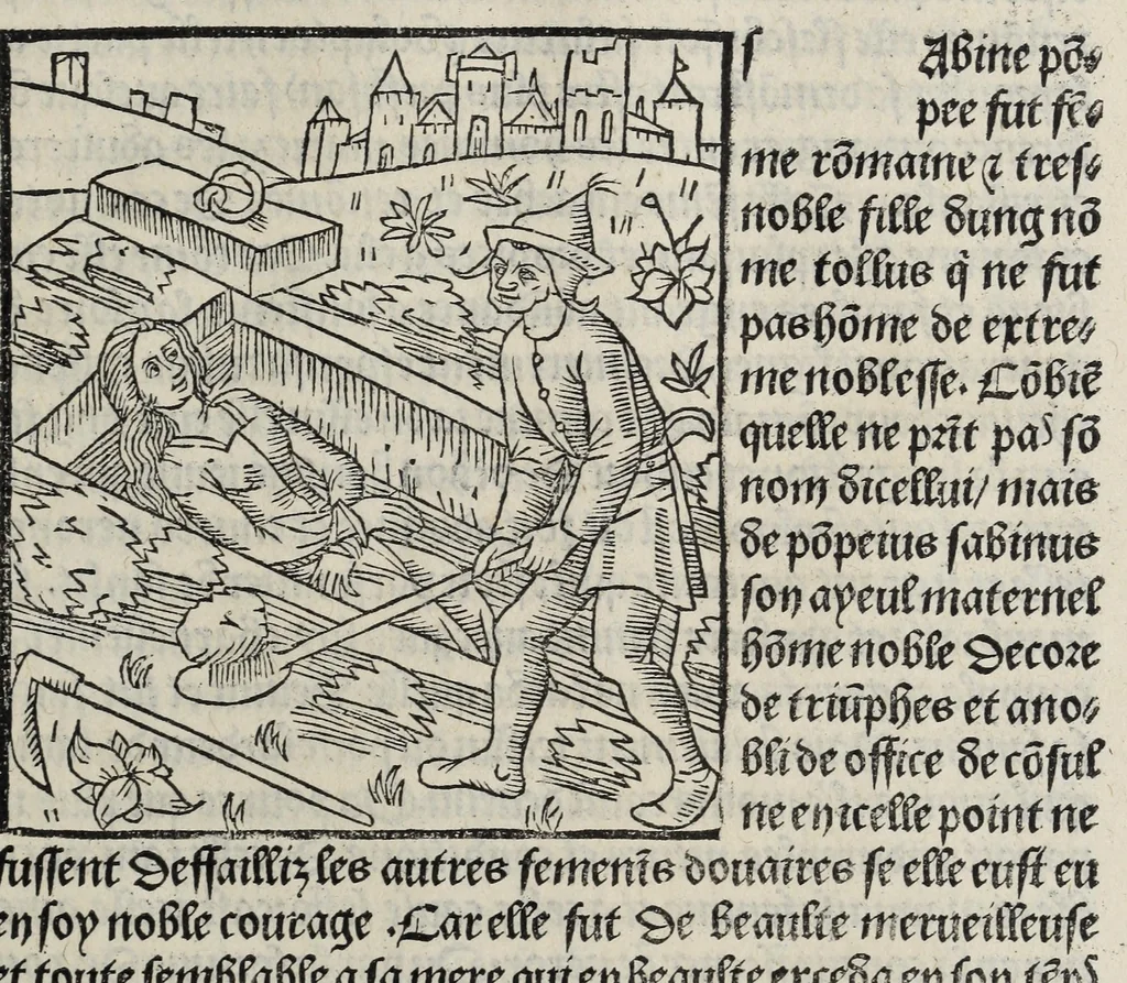An illustration from De la louenge et vertu des nobles et cleres dames : de Jehan bocasse ; [traslate & iprime nouellemet a paris], leaf 251