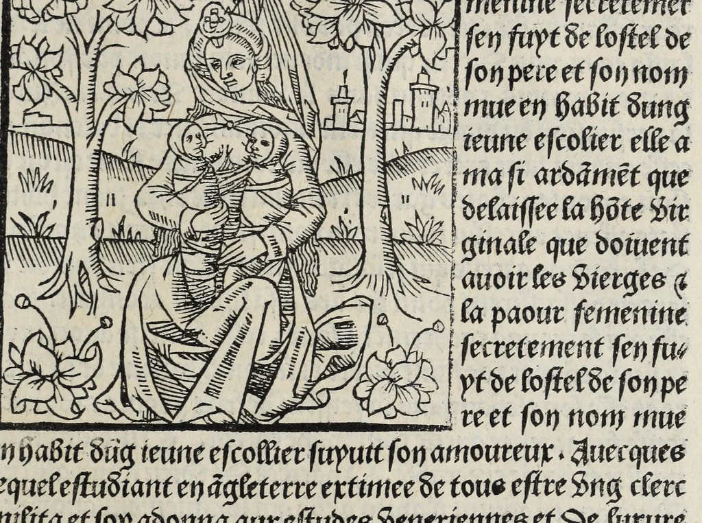 An illustration from De la louenge et vertu des nobles et cleres dames : de Jehan bocasse ; [traslate & iprime nouellemet a paris], leaf 273