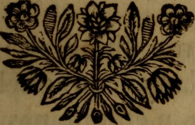 An illustration from De la nature et des causes de la fievre : avec quelques experiences sur le quinquina, & des reflexions sur l'action de ce remede, 1684, leaf 118