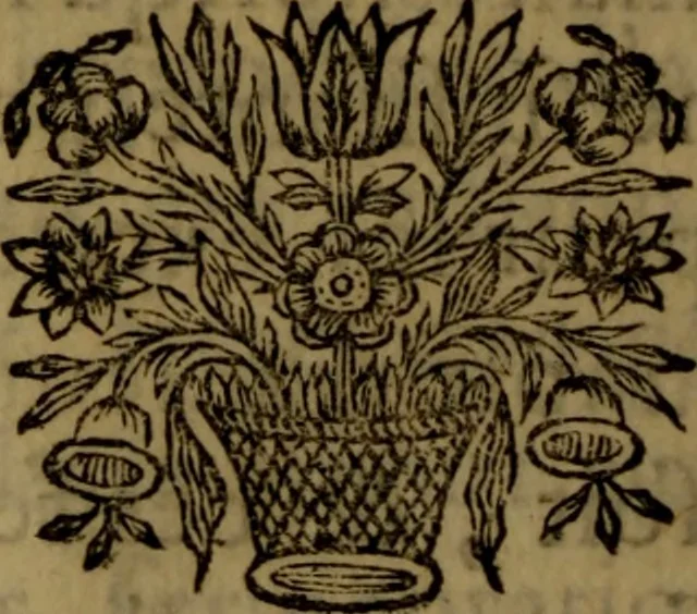 An illustration from De la nature et des causes de la fievre : avec quelques experiences sur le quinquina, & des reflexions sur l'action de ce remede, 1684, leaf 171