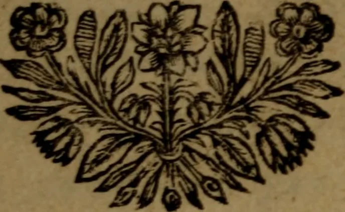 An illustration from De la nature et des causes de la fievre : avec quelques experiences sur le quinquina, & des reflexions sur l'action de ce remede, 1684, leaf 6