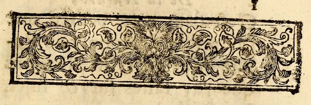 An illustration from De la nature, et des causes de la fièvre: : du legitime usage de la saignée & des purgatifs. Avec des experiences sur la quinquina, & des refléxions sur les effets de ce remede., 1691, leaf 13