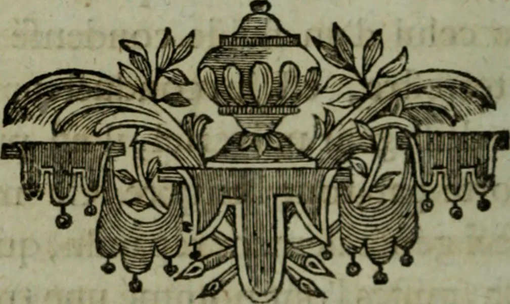 An illustration from De la philosophie corpusculaire, ou, Des connoissances et des procédés magnétiques chez les divers peuples, 1785, leaf 19