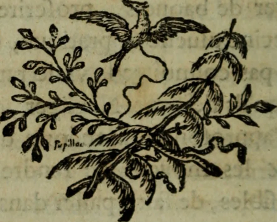 An illustration from De la philosophie corpusculaire, ou, Des connoissances et des procédés magnétiques chez les divers peuples, 1785, leaf 45