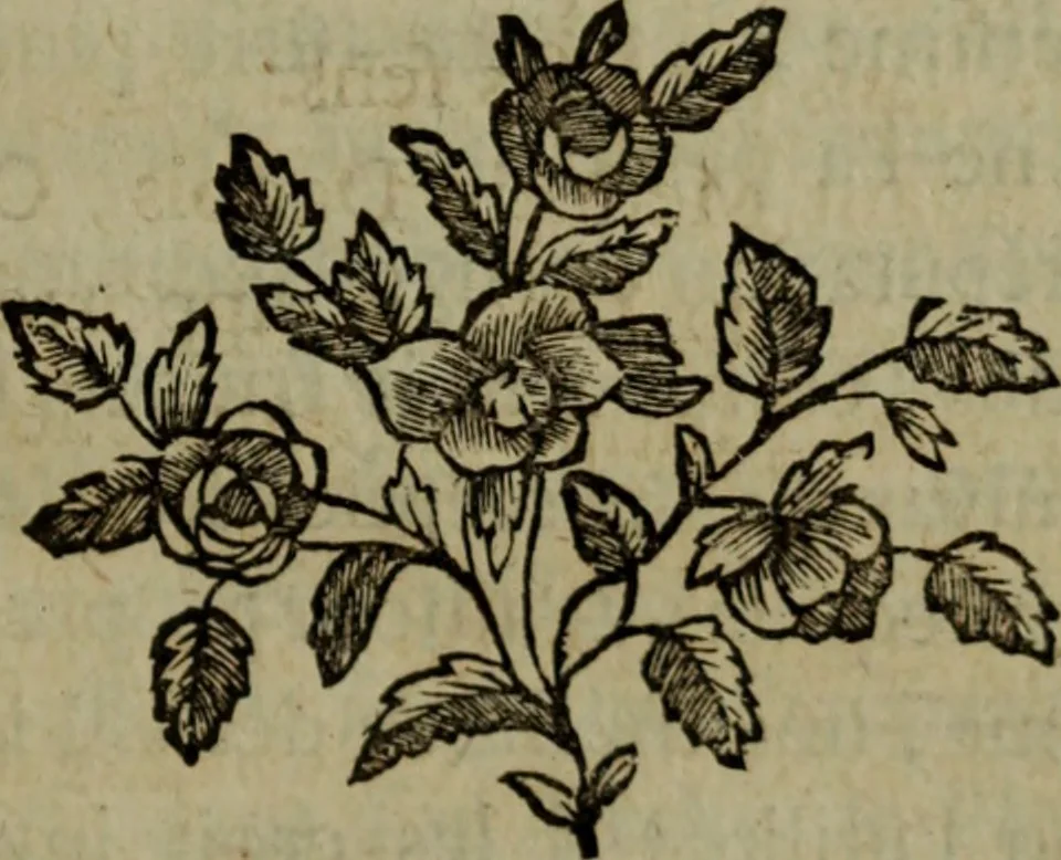 An illustration from De la philosophie corpusculaire, ou, Des connoissances et des procédés magnétiques chez les divers peuples, 1785, leaf 62