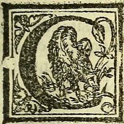 An illustration from De la pirotechnia : Libri X. doue ampiamente si tratta non solo di ogni sorte & diuersita di miniere, ma anchora quanto si ricerca intorno à la prattica di quelle cose di quel che si appartiene à l'arte de la fusione ouer gitto de metalli come d'ogni altra cosa simile à questa, 1540, leaf 116