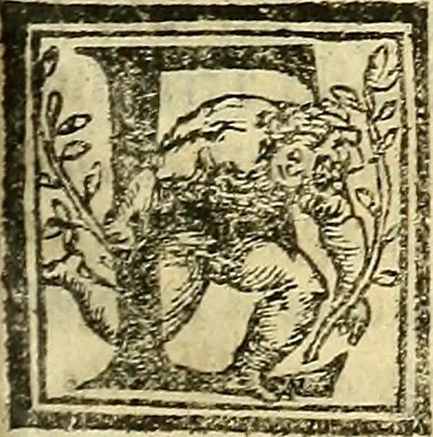 An illustration from De la pirotechnia : Libri X. doue ampiamente si tratta non solo di ogni sorte & diuersita di miniere, ma anchora quanto si ricerca intorno à la prattica di quelle cose di quel che si appartiene à l'arte de la fusione ouer gitto de metalli come d'ogni altra cosa simile à questa, 1540, leaf 156