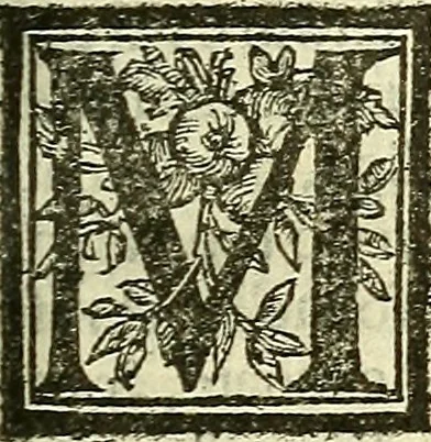 An illustration from De la pirotechnia : Libri X. doue ampiamente si tratta non solo di ogni sorte & diuersita di miniere, ma anchora quanto si ricerca intorno à la prattica di quelle cose di quel che si appartiene à l'arte de la fusione ouer gitto de metalli come d'ogni altra cosa simile à questa, 1540, leaf 162