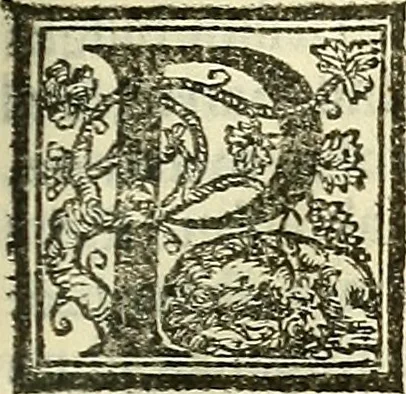 An illustration from De la pirotechnia : Libri X. doue ampiamente si tratta non solo di ogni sorte & diuersita di miniere, ma anchora quanto si ricerca intorno à la prattica di quelle cose di quel che si appartiene à l'arte de la fusione ouer gitto de metalli come d'ogni altra cosa simile à questa, 1540, leaf 202