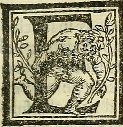 An illustration from De la pirotechnia : Libri X. doue ampiamente si tratta non solo di ogni sorte & diuersita di miniere, ma anchora quanto si ricerca intorno à la prattica di quelle cose di quel che si appartiene à l'arte de la fusione ouer gitto de metalli come d'ogni altra cosa simile à questa, 1540, leaf 206
