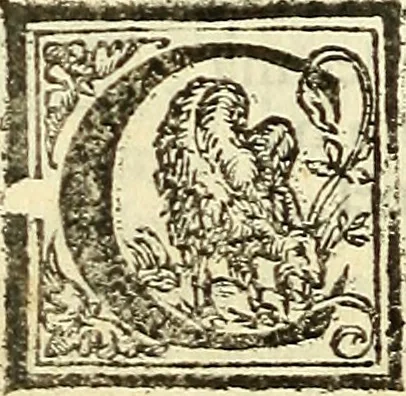 An illustration from De la pirotechnia : Libri X. doue ampiamente si tratta non solo di ogni sorte & diuersita di miniere, ma anchora quanto si ricerca intorno à la prattica di quelle cose di quel che si appartiene à l'arte de la fusione ouer gitto de metalli come d'ogni altra cosa simile à questa, 1540, leaf 215