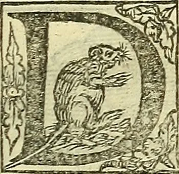 An illustration from De la pirotechnia : Libri X. doue ampiamente si tratta non solo di ogni sorte & diuersita di miniere, ma anchora quanto si ricerca intorno à la prattica di quelle cose di quel che si appartiene à l'arte de la fusione ouer gitto de metalli come d'ogni altra cosa simile à questa, 1540, leaf 216
