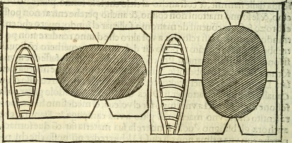 An illustration from De la pirotechnia : Libri X. doue ampiamente si tratta non solo di ogni sorte & diuersita di miniere, ma anchora quanto si ricerca intorno à la prattica di quelle cose di quel che si appartiene à l'arte de la fusione ouer gitto de metalli come d'ogni altra cosa simile à questa, 1540, leaf 225