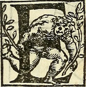 An illustration from De la pirotechnia : Libri X. doue ampiamente si tratta non solo di ogni sorte & diuersita di miniere, ma anchora quanto si ricerca intorno à la prattica di quelle cose di quel che si appartiene à l'arte de la fusione ouer gitto de metalli come d'ogni altra cosa simile à questa, 1540, leaf 227