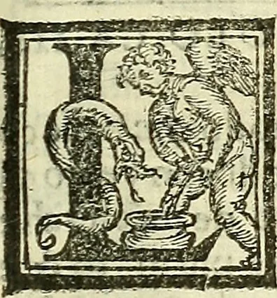 An illustration from De la pirotechnia : Libri X. doue ampiamente si tratta non solo di ogni sorte & diuersita di miniere, ma anchora quanto si ricerca intorno à la prattica di quelle cose di quel che si appartiene à l'arte de la fusione ouer gitto de metalli come d'ogni altra cosa simile à questa, 1540, leaf 228