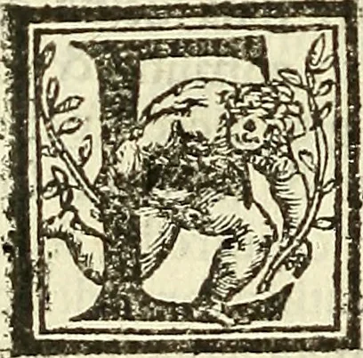 An illustration from De la pirotechnia : Libri X. doue ampiamente si tratta non solo di ogni sorte & diuersita di miniere, ma anchora quanto si ricerca intorno à la prattica di quelle cose di quel che si appartiene à l'arte de la fusione ouer gitto de metalli come d'ogni altra cosa simile à questa, 1540, leaf 229