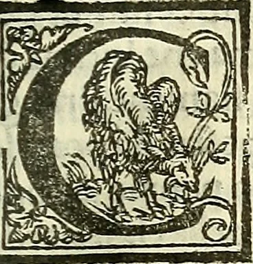 An illustration from De la pirotechnia : Libri X. doue ampiamente si tratta non solo di ogni sorte & diuersita di miniere, ma anchora quanto si ricerca intorno à la prattica di quelle cose di quel che si appartiene à l'arte de la fusione ouer gitto de metalli come d'ogni altra cosa simile à questa, 1540, leaf 232