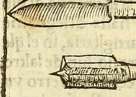An illustration from De la pirotechnia : Libri X. doue ampiamente si tratta non solo di ogni sorte & diuersita di miniere, ma anchora quanto si ricerca intorno à la prattica di quelle cose di quel che si appartiene à l'arte de la fusione ouer gitto de metalli come d'ogni altra cosa simile à questa, 1540, leaf 247