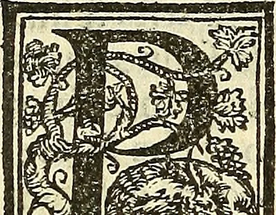 An illustration from De la pirotechnia : Libri X. doue ampiamente si tratta non solo di ogni sorte & diuersita di miniere, ma anchora quanto si ricerca intorno à la prattica di quelle cose di quel che si appartiene à l'arte de la fusione ouer gitto de metalli come d'ogni altra cosa simile à questa, 1540, leaf 253