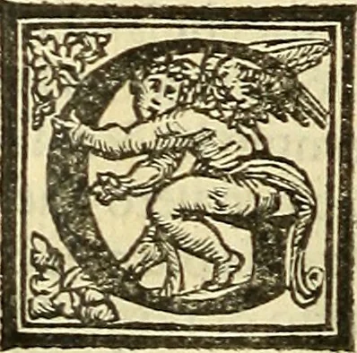 An illustration from De la pirotechnia : Libri X. doue ampiamente si tratta non solo di ogni sorte & diuersita di miniere, ma anchora quanto si ricerca intorno à la prattica di quelle cose di quel che si appartiene à l'arte de la fusione ouer gitto de metalli come d'ogni altra cosa simile à questa, 1540, leaf 255