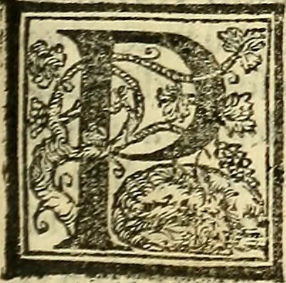 An illustration from De la pirotechnia : Libri X. doue ampiamente si tratta non solo di ogni sorte & diuersita di miniere, ma anchora quanto si ricerca intorno à la prattica di quelle cose di quel che si appartiene à l'arte de la fusione ouer gitto de metalli come d'ogni altra cosa simile à questa, 1540, leaf 256