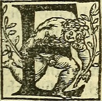 An illustration from De la pirotechnia : Libri X. doue ampiamente si tratta non solo di ogni sorte & diuersita di miniere, ma anchora quanto si ricerca intorno à la prattica di quelle cose di quel che si appartiene à l'arte de la fusione ouer gitto de metalli come d'ogni altra cosa simile à questa, 1540, leaf 266