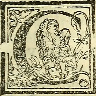 An illustration from De la pirotechnia : Libri X. doue ampiamente si tratta non solo di ogni sorte & diuersita di miniere, ma anchora quanto si ricerca intorno à la prattica di quelle cose di quel che si appartiene à l'arte de la fusione ouer gitto de metalli come d'ogni altra cosa simile à questa, 1540, leaf 290