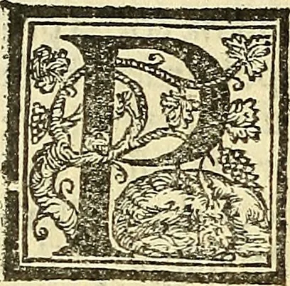 An illustration from De la pirotechnia : Libri X. doue ampiamente si tratta non solo di ogni sorte & diuersita di miniere, ma anchora quanto si ricerca intorno à la prattica di quelle cose di quel che si appartiene à l'arte de la fusione ouer gitto de metalli come d'ogni altra cosa simile à questa, 1540, leaf 311