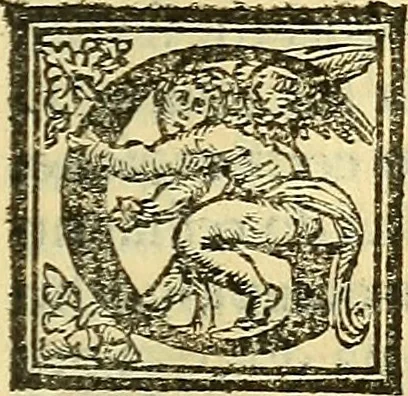 An illustration from De la pirotechnia : Libri X. doue ampiamente si tratta non solo di ogni sorte & diuersita di miniere, ma anchora quanto si ricerca intorno à la prattica di quelle cose di quel che si appartiene à l'arte de la fusione ouer gitto de metalli come d'ogni altra cosa simile à questa, 1540, leaf 322