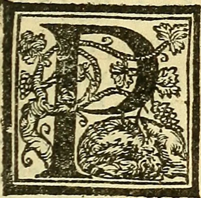 An illustration from De la pirotechnia : Libri X. doue ampiamente si tratta non solo di ogni sorte & diuersita di miniere, ma anchora quanto si ricerca intorno à la prattica di quelle cose di quel che si appartiene à l'arte de la fusione ouer gitto de metalli come d'ogni altra cosa simile à questa, 1540, leaf 342