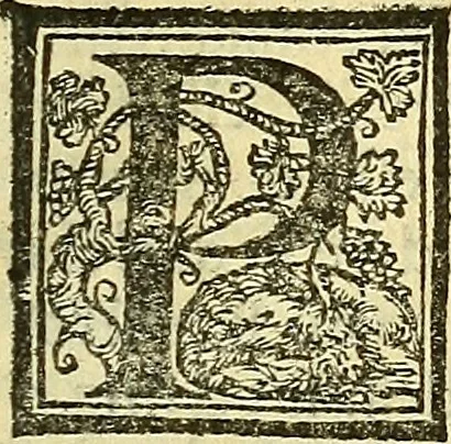 An illustration from De la pirotechnia : Libri X. doue ampiamente si tratta non solo di ogni sorte & diuersita di miniere, ma anchora quanto si ricerca intorno à la prattica di quelle cose di quel che si appartiene à l'arte de la fusione ouer gitto de metalli come d'ogni altra cosa simile à questa, 1540, leaf 348