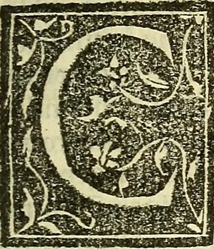 An illustration from De la pirotechnia : Libri X. doue ampiamente si tratta non solo di ogni sorte & diuersita di miniere, ma anchora quanto si ricerca intorno à la prattica di quelle cose di quel che si appartiene à l'arte de la fusione ouer gitto de metalli come d'ogni altra cosa simile à questa, 1540, leaf 48