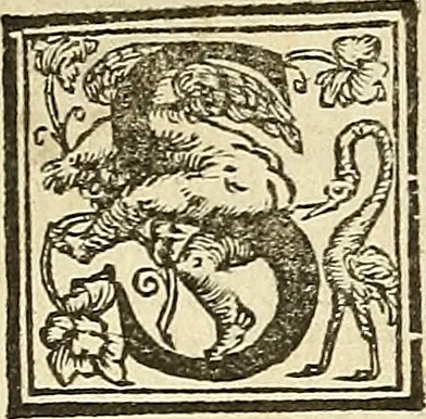 An illustration from De la pirotechnia : Libri X. doue ampiamente si tratta non solo di ogni sorte & diuersita di miniere, ma anchora quanto si ricerca intorno à la prattica di quelle cose di quel che si appartiene à l'arte de la fusione ouer gitto de metalli come d'ogni altra cosa simile à questa, 1540, leaf 5