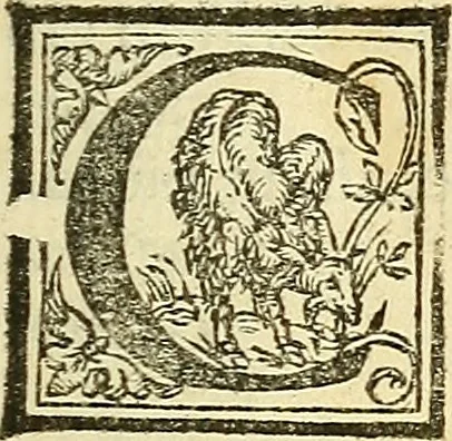 An illustration from De la pirotechnia : Libri X. doue ampiamente si tratta non solo di ogni sorte & diuersita di miniere, ma anchora quanto si ricerca intorno à la prattica di quelle cose di quel che si appartiene à l'arte de la fusione ouer gitto de metalli come d'ogni altra cosa simile à questa, 1540, leaf 6
