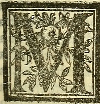 An illustration from De la pirotechnia : Libri X. doue ampiamente si tratta non solo di ogni sorte & diuersita di miniere, ma anchora quanto si ricerca intorno à la prattica di quelle cose di quel che si appartiene à l'arte de la fusione ouer gitto de metalli come d'ogni altra cosa simile à questa, 1540, leaf 86