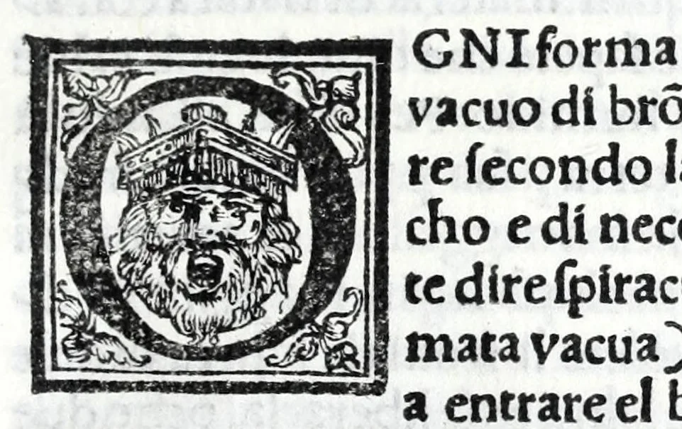 An illustration from De la pirotechnia libri X. : dove ampiamente si tratta non solo di ogni sorte & diuersita di miniere, ma anchora quanto si ricerca intorno à la prattica di quelle cose, di quel che si appartiene à l'arte de la fusione, ouer gitto de metalli, come d'ogni altra cosa simile à questa, 1540, leaf 209