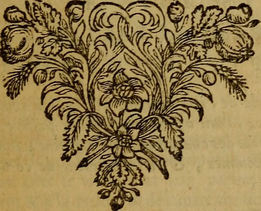 An illustration from De la recherche de la verité : où L'on traitte de la nature de l'esprit de l'homme, & de l'usage qu'il en doit faire pour éviter l'erreur dans les sciences, 1688, leaf 164